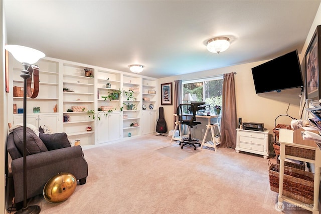 office with light carpet