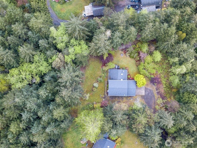 aerial view