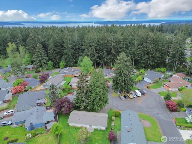 aerial view featuring a water view, a view of trees, and a residential view