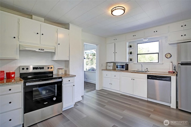kitchen with plenty of natural light, a sink, under cabinet range hood, and stainless steel appliances