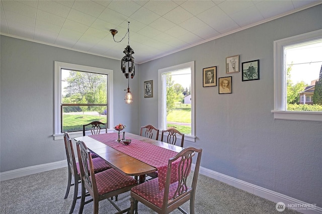 dining area with baseboards, ornamental molding, and carpet flooring