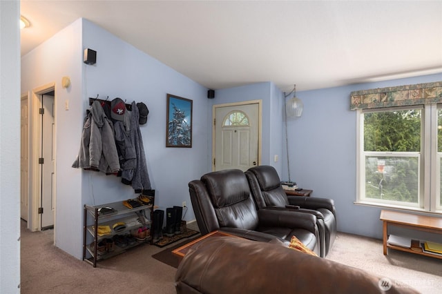 carpeted living area featuring plenty of natural light