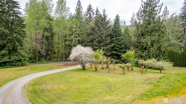 view of community with a lawn and driveway