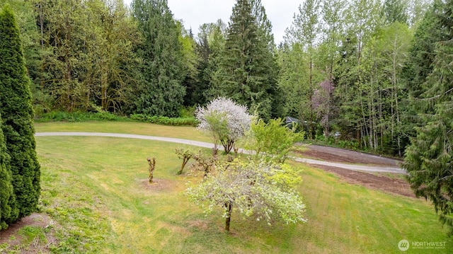 surrounding community featuring a lawn