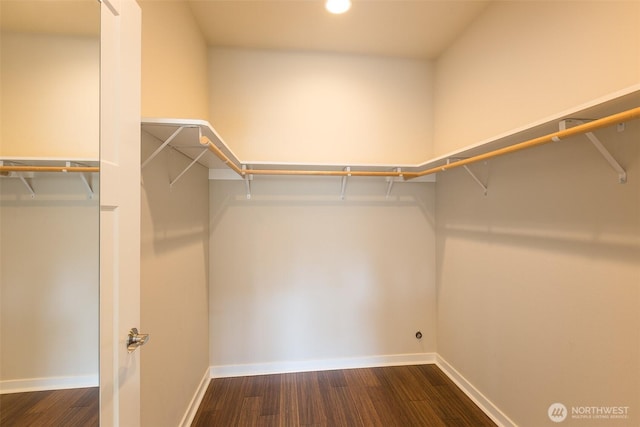 walk in closet featuring dark wood-type flooring