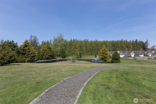 view of property's community featuring a lawn