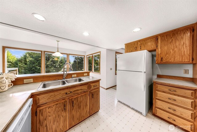 kitchen with a sink, light floors, a healthy amount of sunlight, and white appliances
