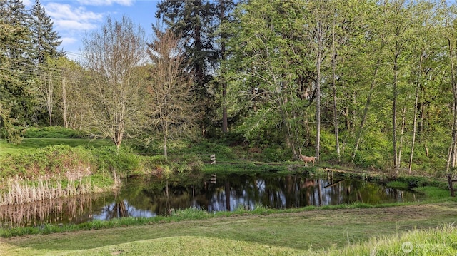 water view featuring a view of trees