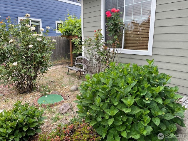 9206 Carys St SE, Yelm, WA 98597 - view of yard