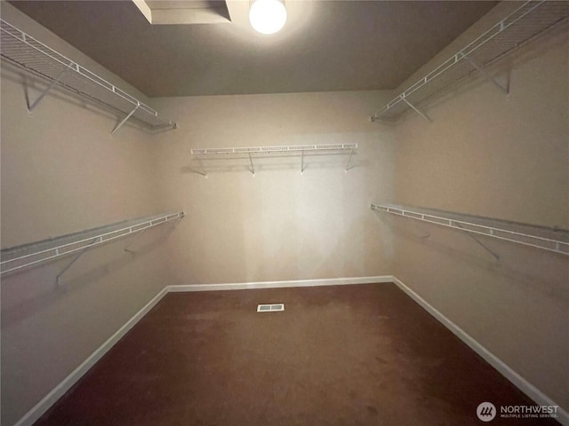9206 Carys St SE, Yelm, WA 98597 - walk in closet with carpet flooring