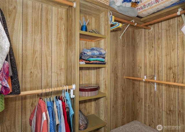 111 Dryke Rd Unit 66, Sequim, WA 98362 - view of spacious closet
