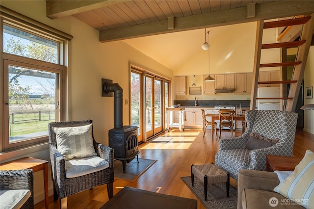 living area featuring a wood stove, a wealth of natural light, and light wood-style flooring