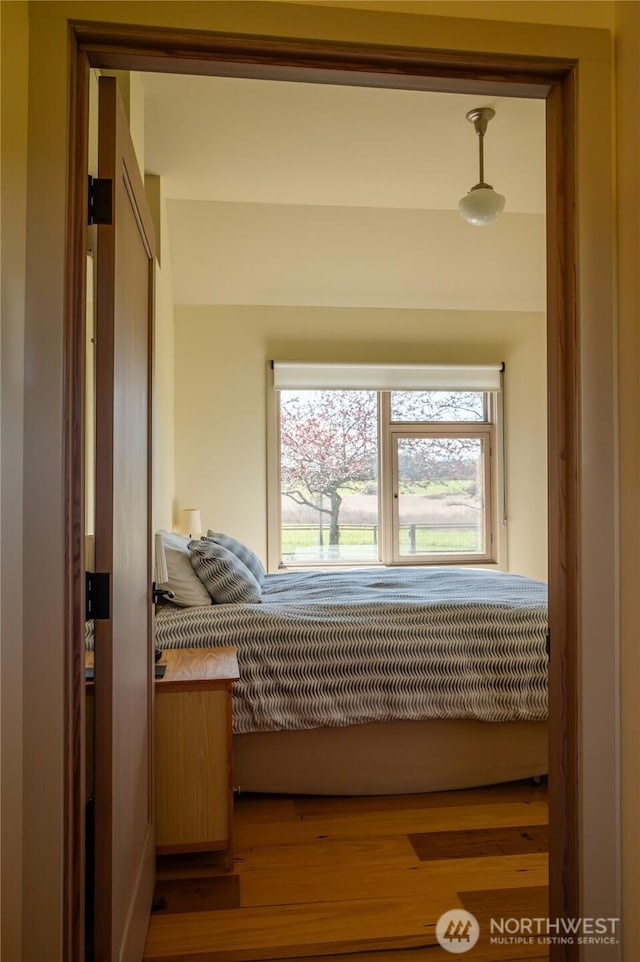 bedroom featuring a closet, multiple windows, and wood finished floors