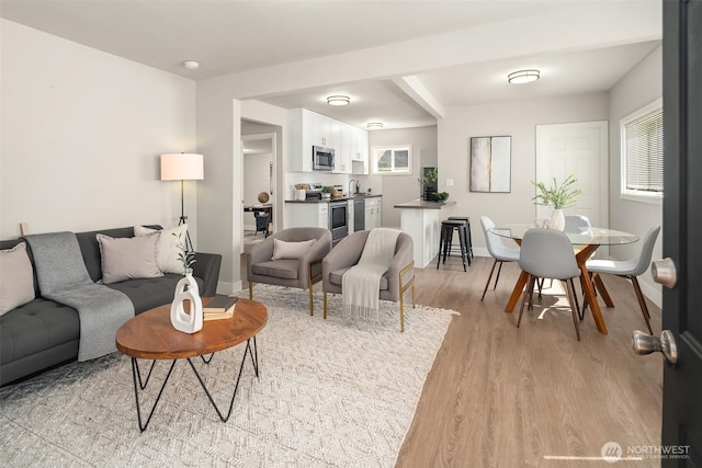 living area featuring baseboards, light wood-style floors, and a healthy amount of sunlight