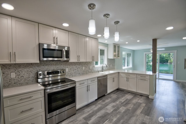 41 SE Wildcat Cove Rd, Shelton, WA 98584 - kitchen featuring appliances with stainless steel finishes, a peninsula, dark wood-style flooring, a sink, and light countertops