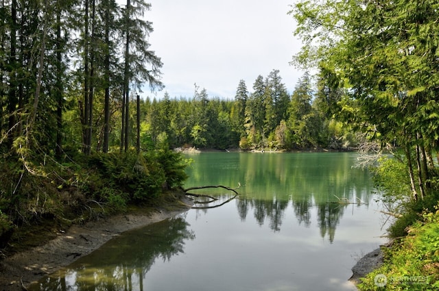41 SE Wildcat Cove Rd, Shelton, WA 98584 - water view featuring a forest