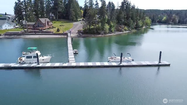 41 SE Wildcat Cove Rd, Shelton, WA 98584 - dock area with a water view and a wooded view