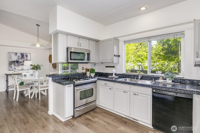 kitchen featuring stainless steel appliances, a wealth of natural light, a sink, and wood finished floors
