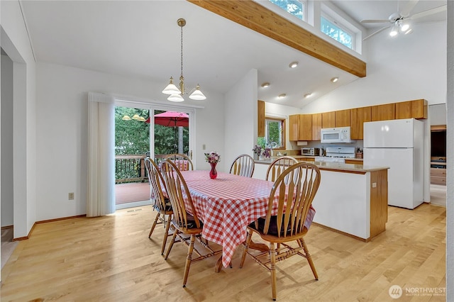 dining room featuring beam ceiling, light wood finished floors, plenty of natural light, a chandelier, and a ceiling fan