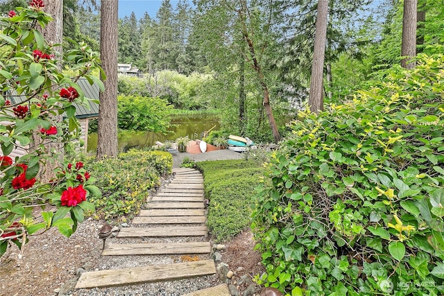 view of yard