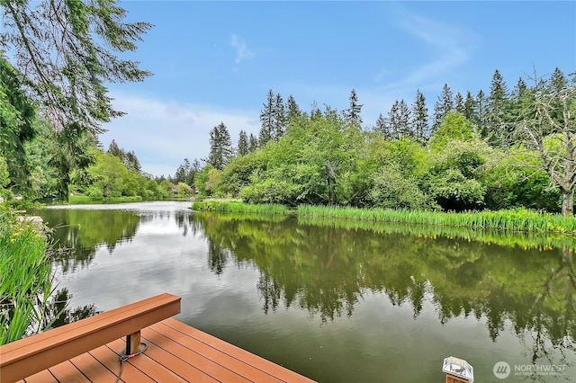 dock area with a water view and a wooded view