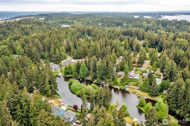 aerial overview of property's location with a heavily wooded area and a large body of water
