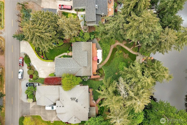 drone / aerial view