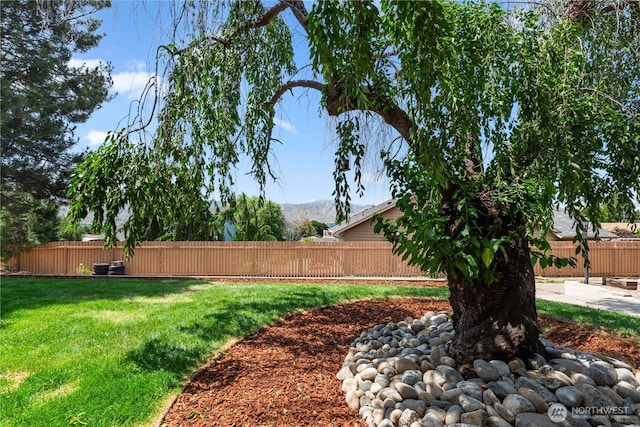 780 10th St NE, East Wenatchee, WA 98802 - view of yard with a mountain view