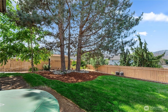 780 10th St NE, East Wenatchee, WA 98802 - fenced backyard featuring a mountain view