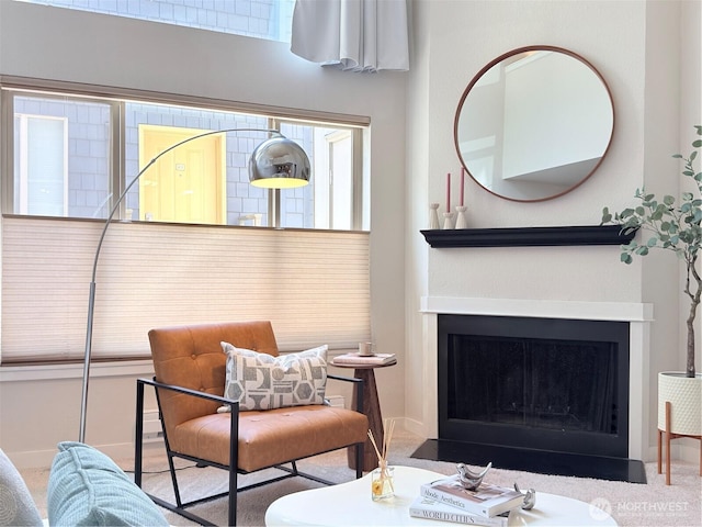 7309 Sand Point Way NE Unit B727, Seattle, WA 98115 - living area with a fireplace and carpet floors