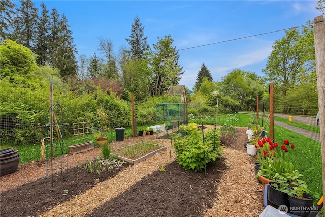 view of yard with a garden