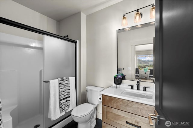 bathroom with a shower stall, toilet, and vanity