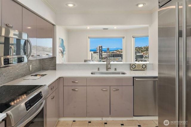 kitchen featuring a sink, appliances with stainless steel finishes, ornamental molding, and light countertops