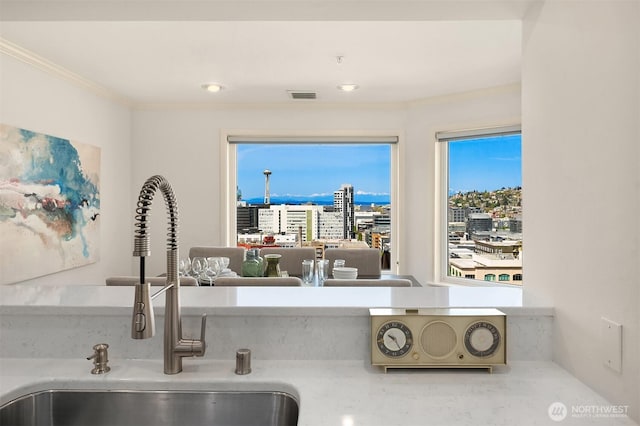 room details with a sink, a view of city, crown molding, and visible vents