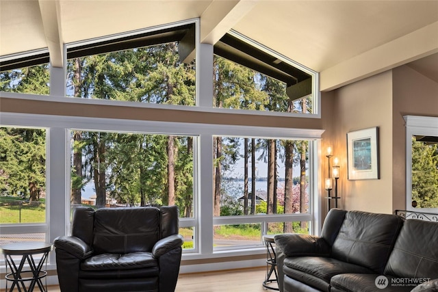 interior space featuring high vaulted ceiling, a wealth of natural light, and wood finished floors