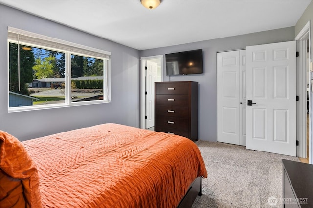 bedroom featuring a closet and carpet flooring