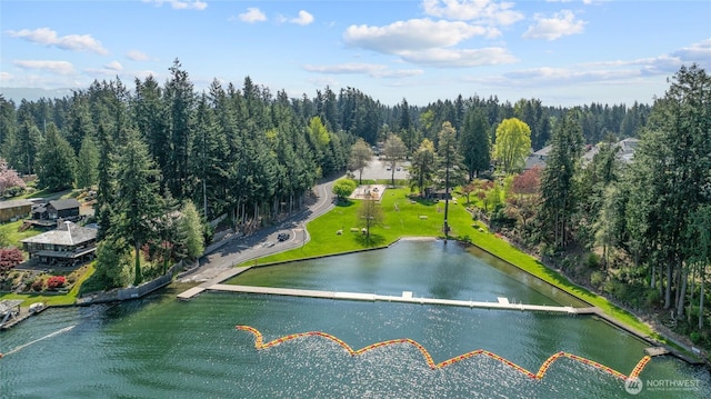bird's eye view featuring a water view and a wooded view