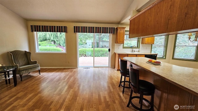 kitchen with a breakfast bar, light countertops, a sink, light wood finished floors, and a wealth of natural light