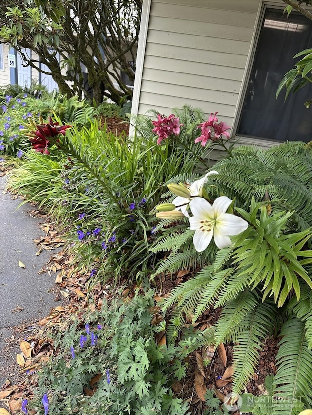 615 Ocean Shores Blvd NW Unit 215B, Ocean Shores, WA 98569 - photo 12