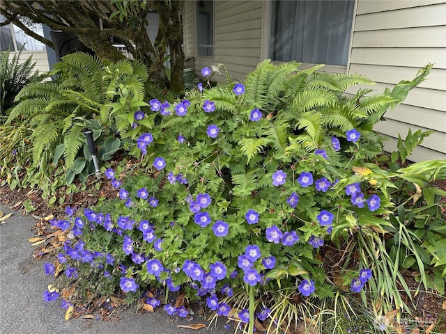 615 Ocean Shores Blvd NW Unit 215B, Ocean Shores, WA 98569 - photo 15