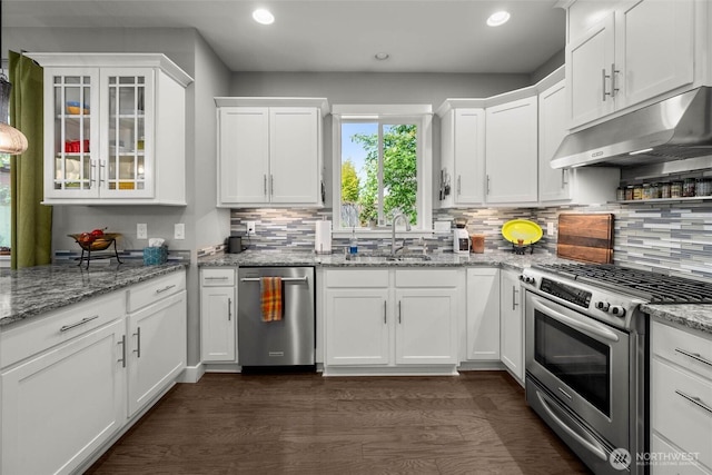 kitchen with under cabinet range hood, stainless steel appliances, white cabinetry, and a sink