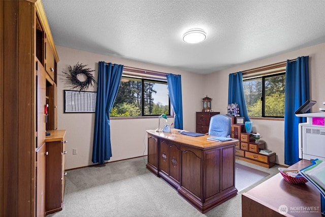 11818 Orchard Ave SE, Olalla, WA 98359 - photo 29