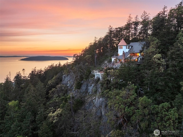 4385 Wildwood Ln, Anacortes, WA 98221 - water view