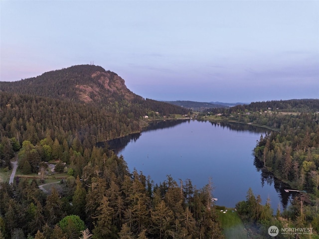 4385 Wildwood Ln, Anacortes, WA 98221 - water view with a forest and a mountainous background