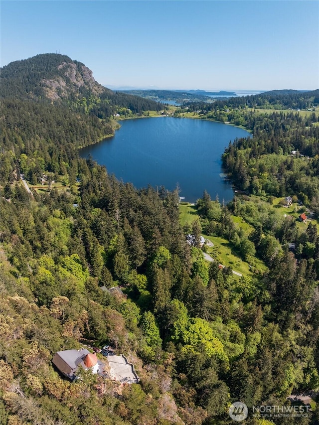 4385 Wildwood Ln, Anacortes, WA 98221 - aerial view of a forest and a water and mountain view