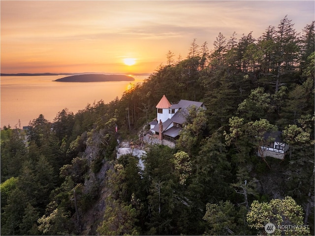 4385 Wildwood Ln, Anacortes, WA 98221 - aerial view at dusk of a wooded view