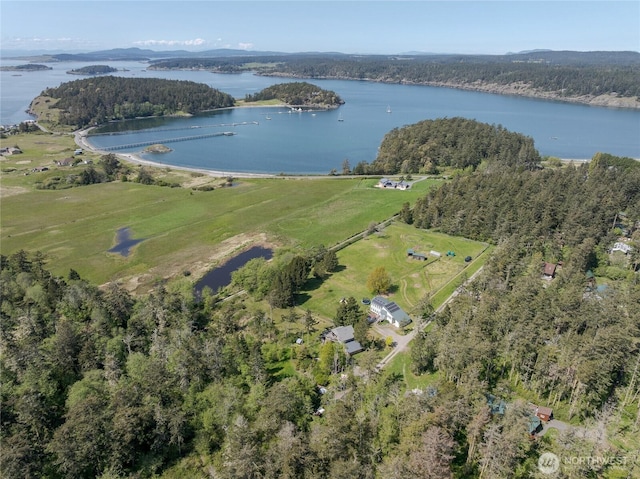 486 Wren Rd, Lopez Island, WA 98261 - aerial view featuring a wooded view and a water view