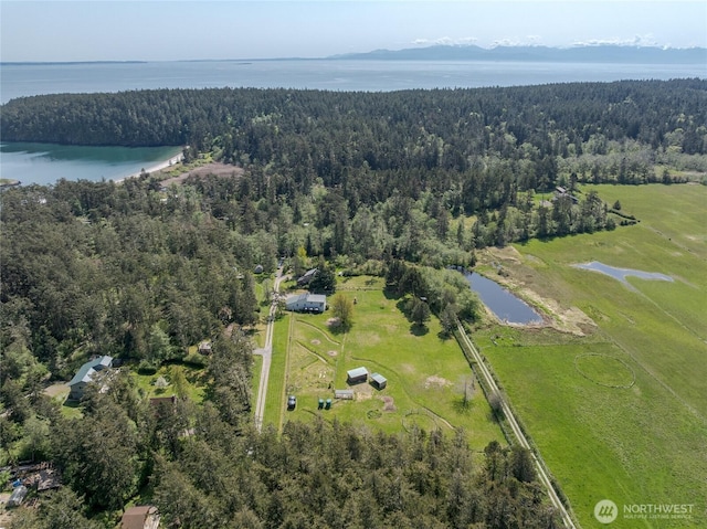 486 Wren Rd, Lopez Island, WA 98261 - drone / aerial view featuring a water view and a wooded view