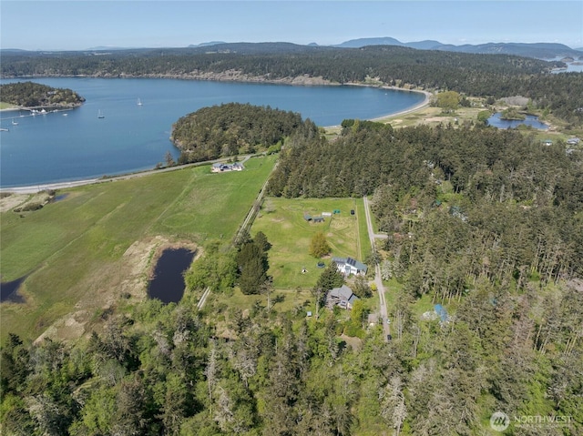 486 Wren Rd, Lopez Island, WA 98261 - drone / aerial view with a water and mountain view and a wooded view