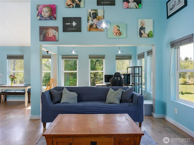486 Wren Rd, Lopez Island, WA 98261 - living area with baseboards, a wealth of natural light, and light wood-style floors